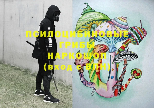 индика Нефтегорск