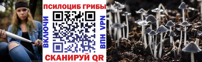 Купить где  Шатура  Псилоцибиновые грибы Psilocybine cubensis 